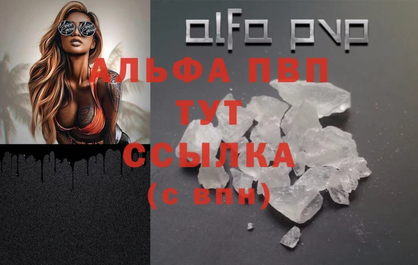 мяу мяу мука Лабытнанги