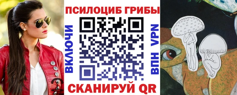 Галлюциногенные грибы Cubensis  МЕГА сайт  Туран  где купить наркоту 